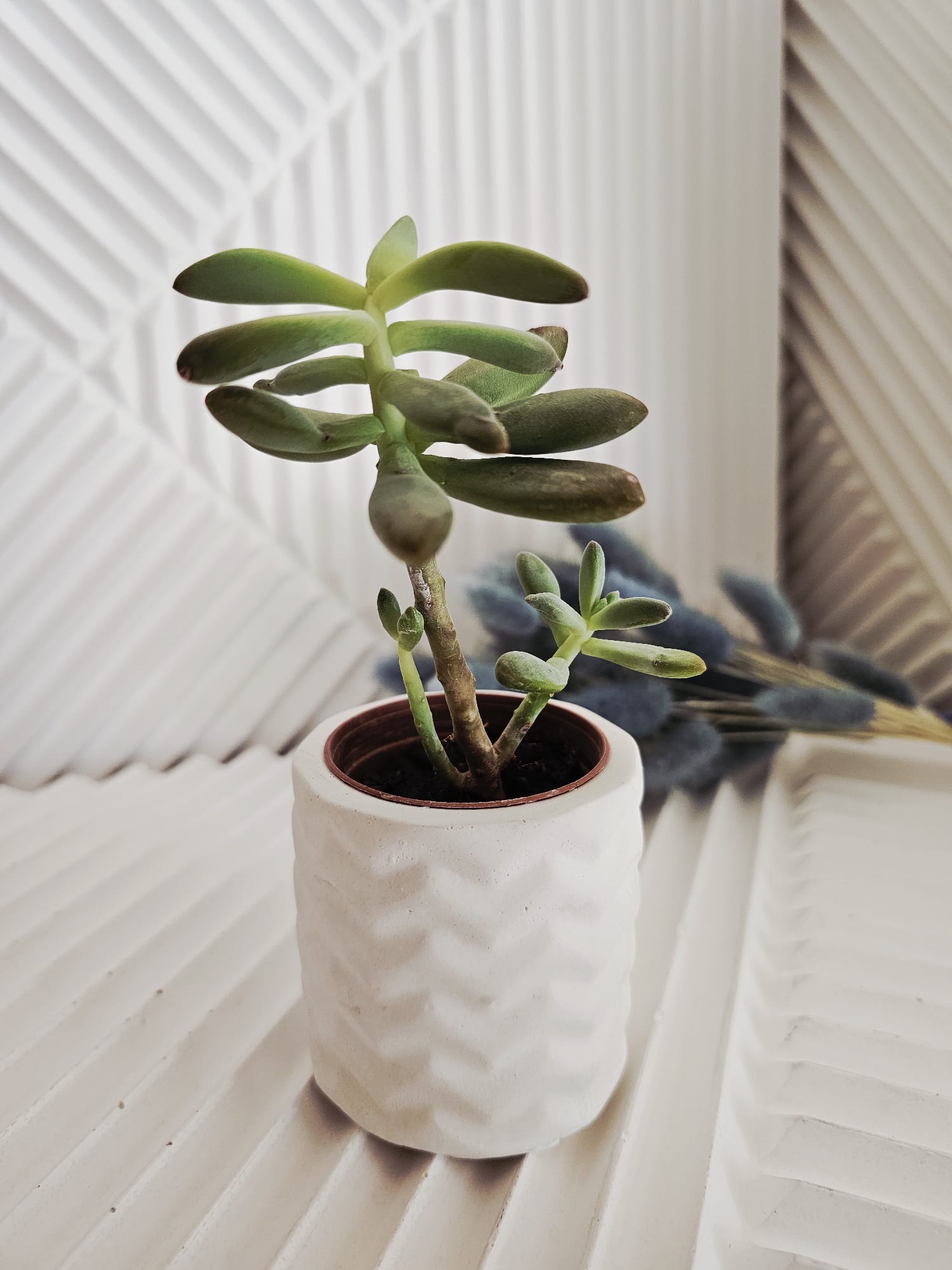 El Yapımı Zigzag Desenli Beton Saksı / Mumluk