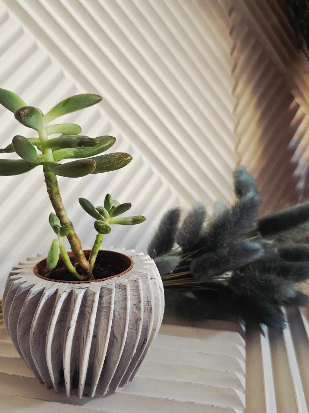El Yapımı Spiral Beton Saksı / Vazo – Kaktüs, Sukulent ve Mini Bitkiler Için Gri-Beyaz